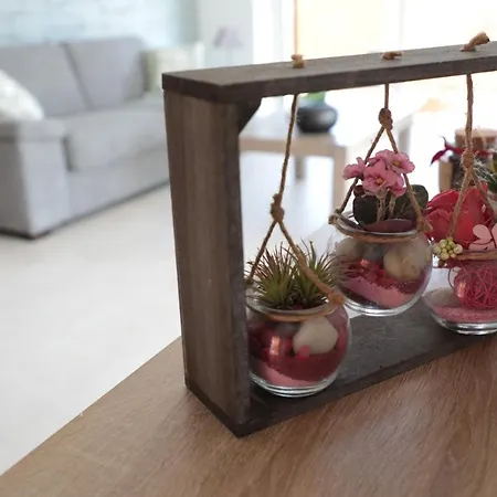 Le Joli Bois Casa de Férias Colroy-la-Roche